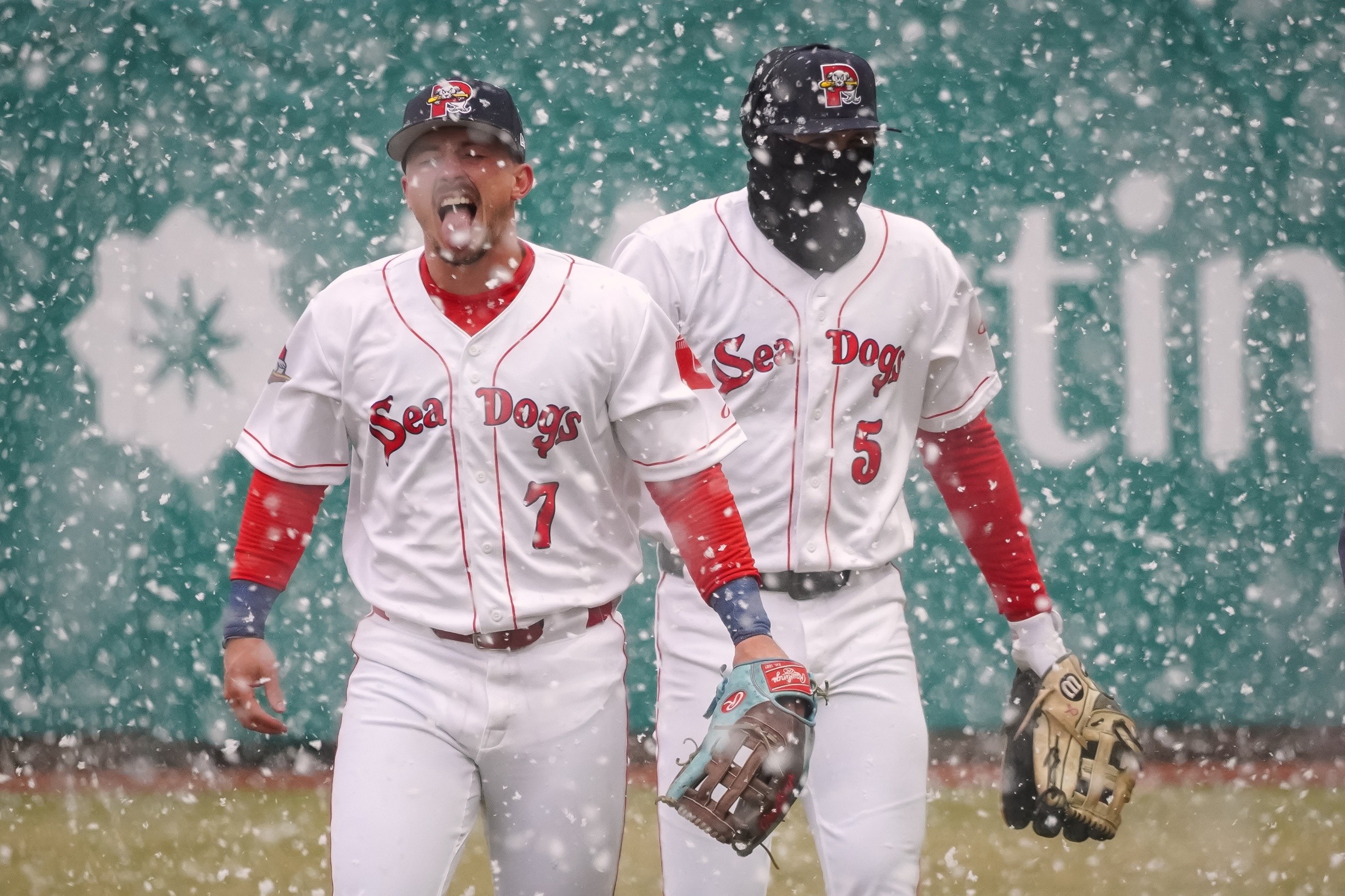 Portland Sea Dogs in Portland, Maine, a Boston Red Sox baseball affiliate